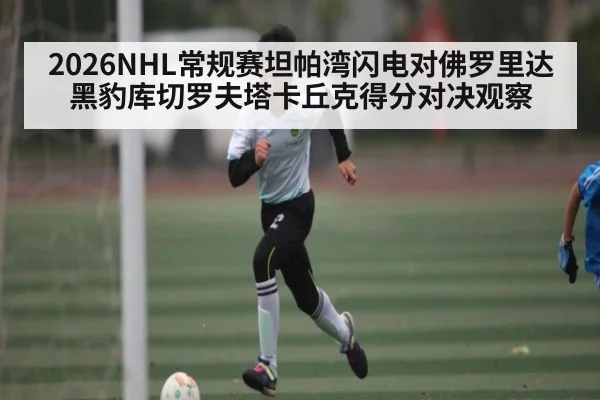 2026NHL常规赛坦帕湾闪电对佛罗里达黑豹库切罗夫塔卡丘克得分对决观察